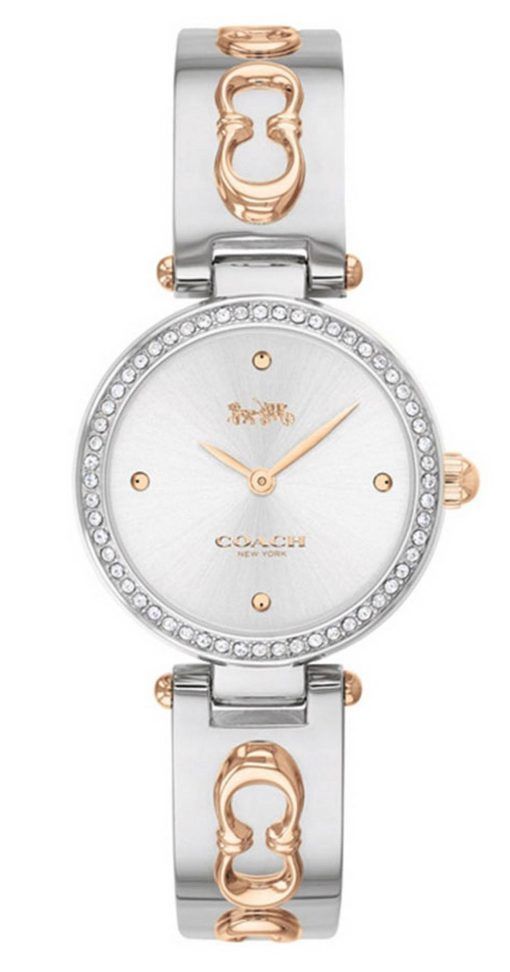 Montre Femme Coach Park Crystal Accents Cadran Argent Quartz 14503286